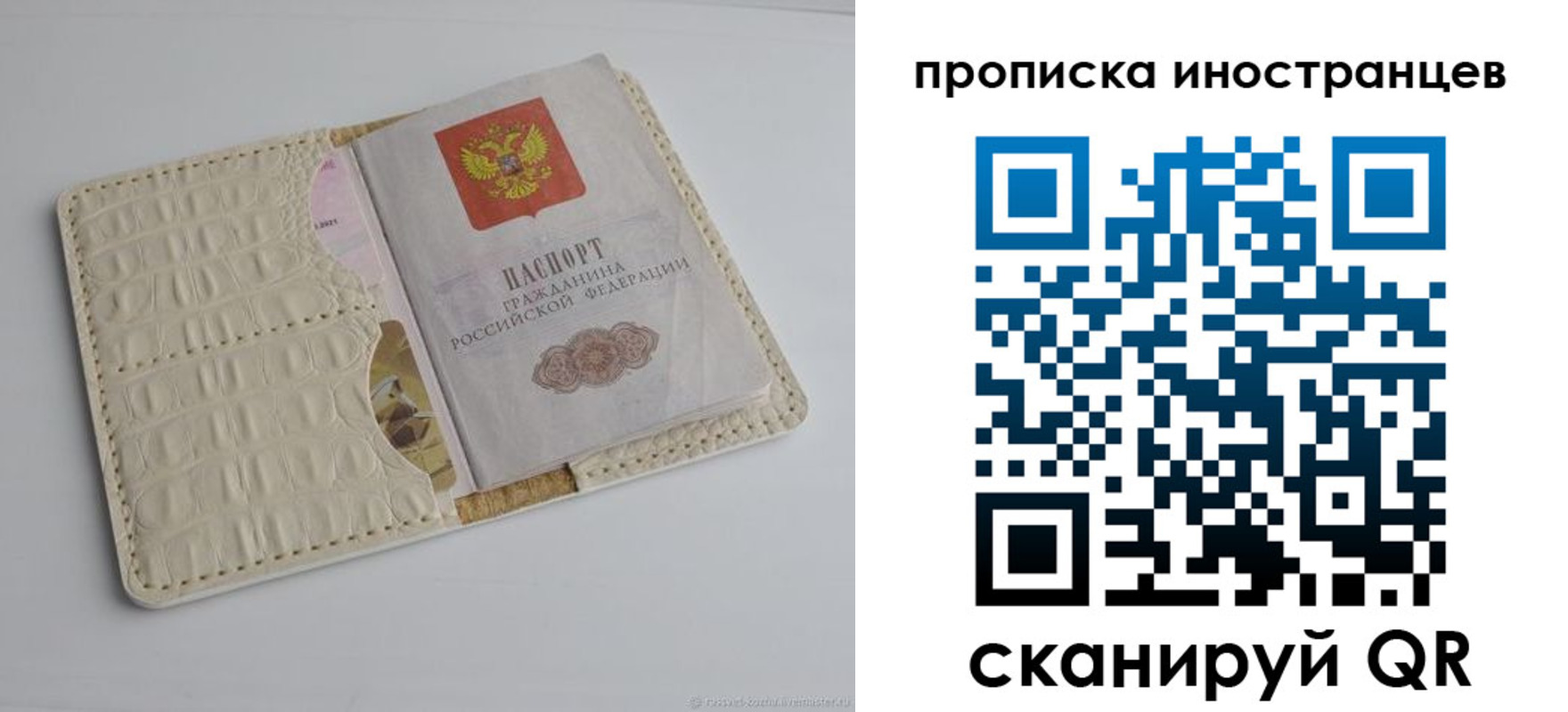 найти адрес прописки в Полярных Зорях